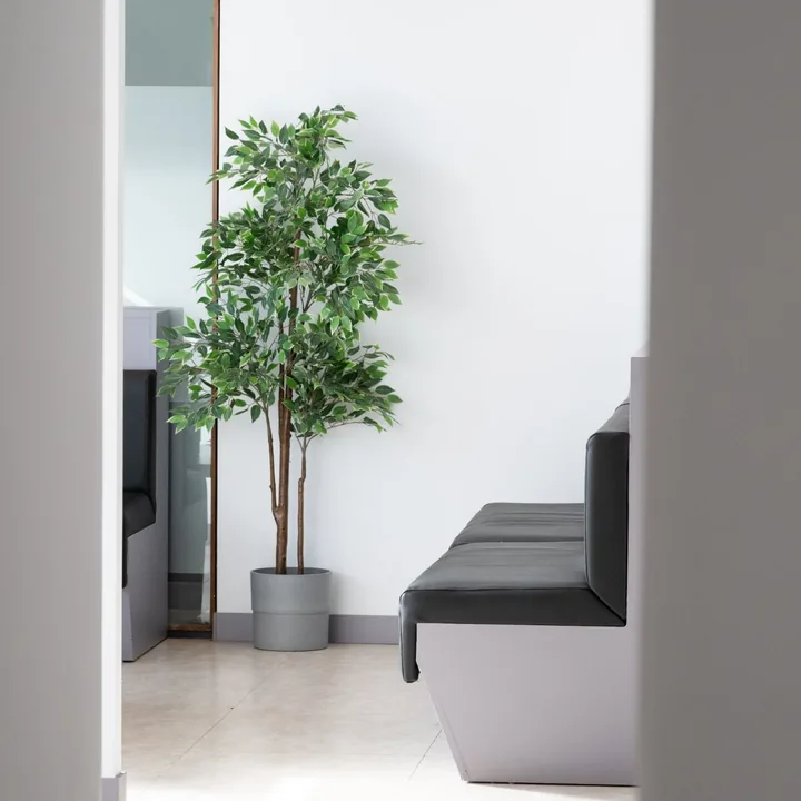 Sala de espera luminosa de Clínica Dental Nàcar en L’Hospitalet de Llobregat